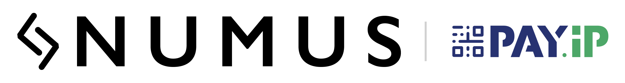 PayIP Numus